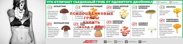 гидропоника Горно-Алтайск